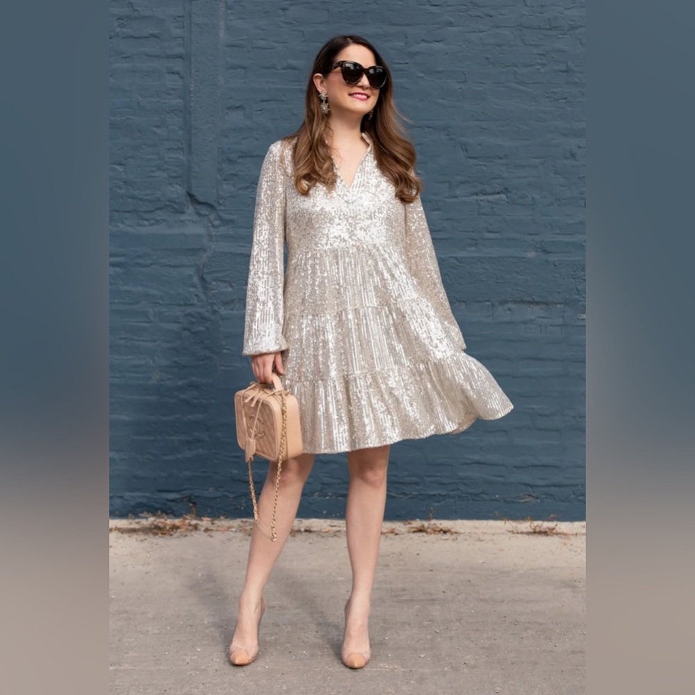 Sail to Sable Style Charade Sequin Charlotte Dress